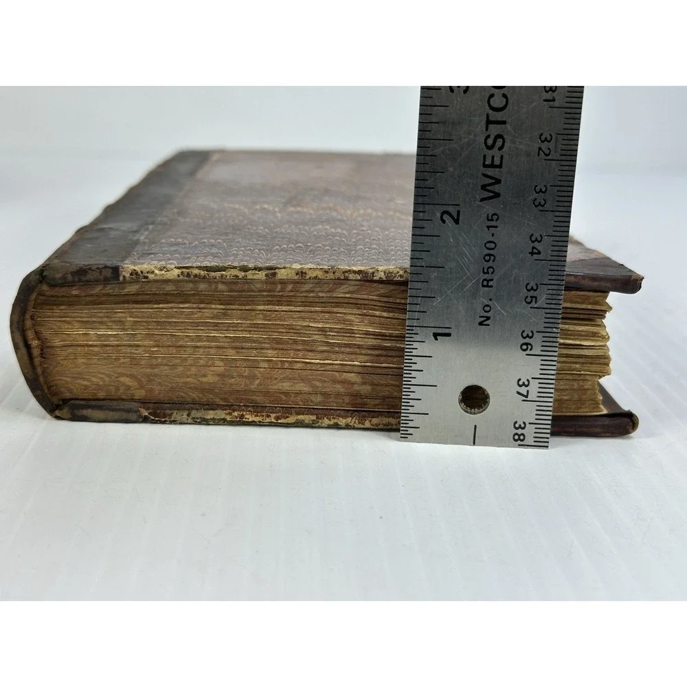 Antique The Mill on the Floss George Eliot Belford Clarke & Co Chicago & NY 1885